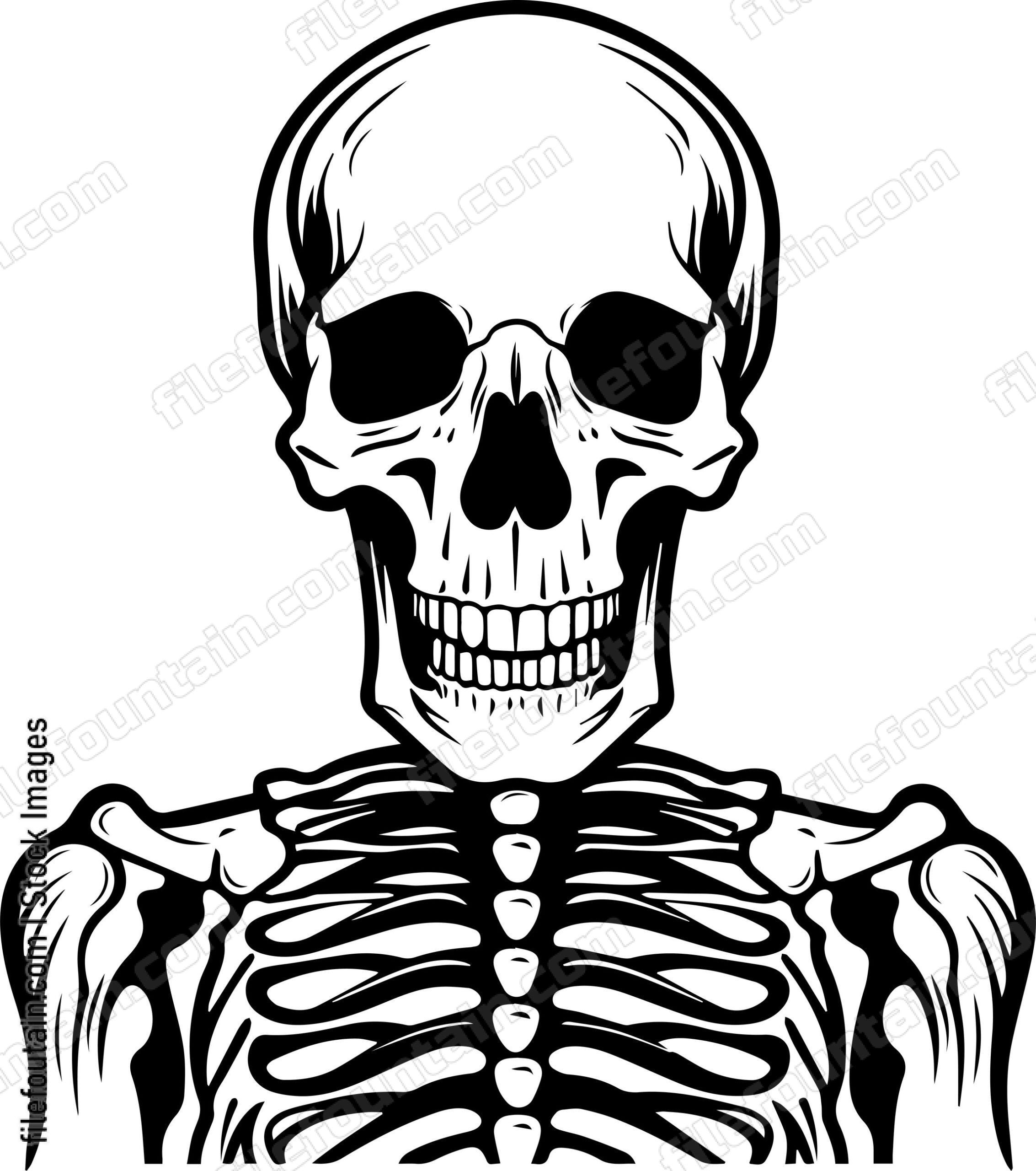 Skeleton