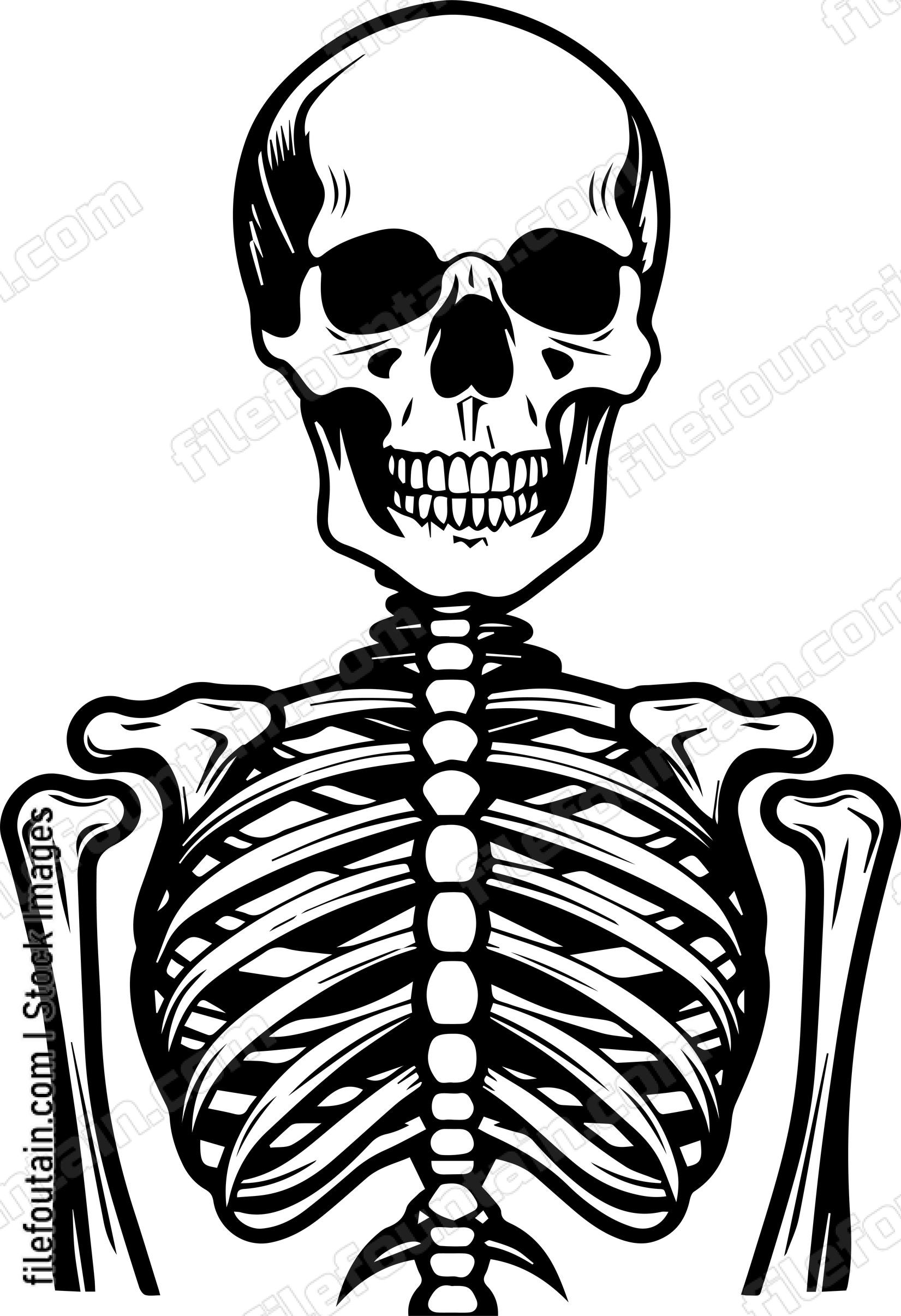Skeleton