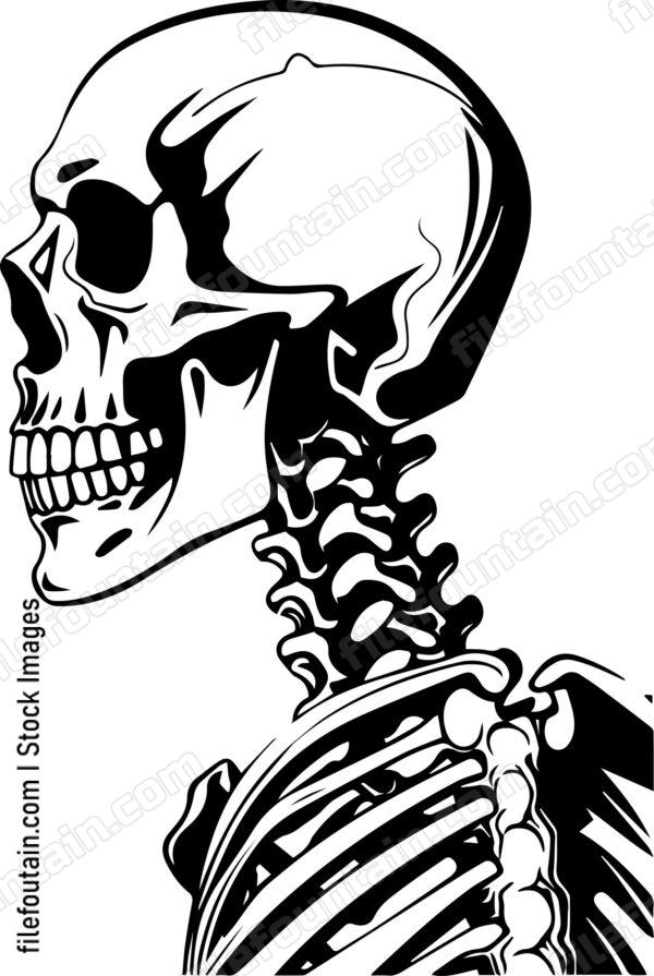 Skeleton
