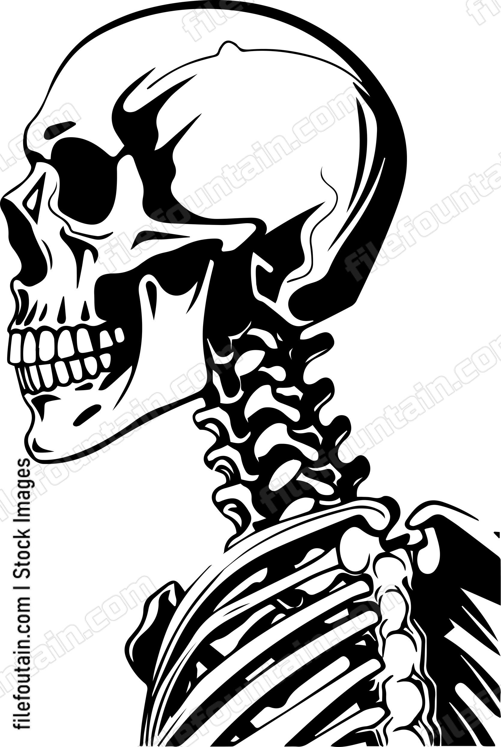 Skeleton