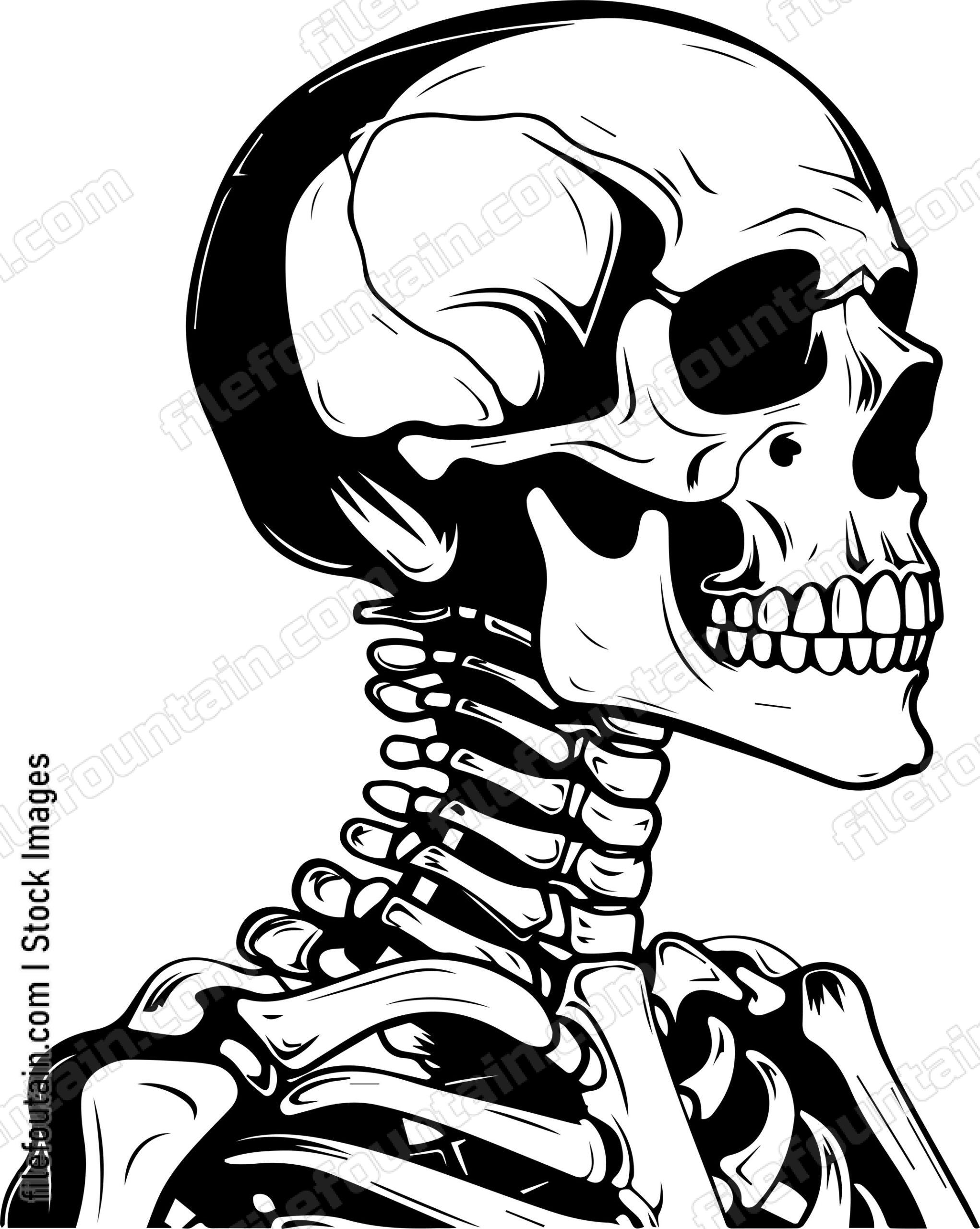 Skeleton