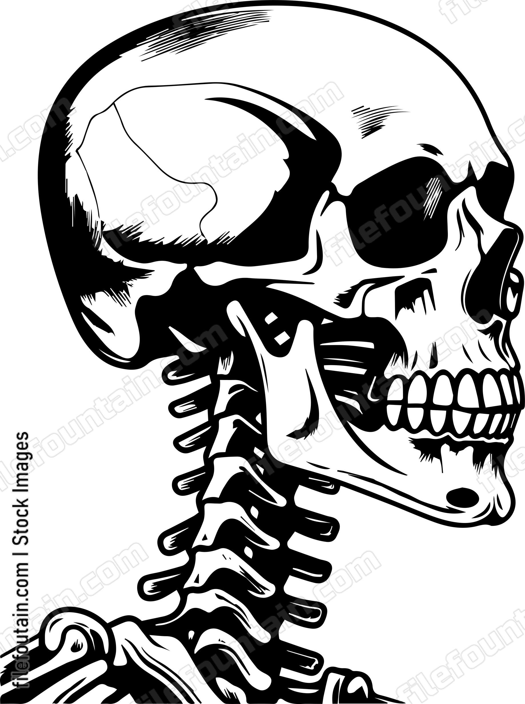 Skeleton Side View