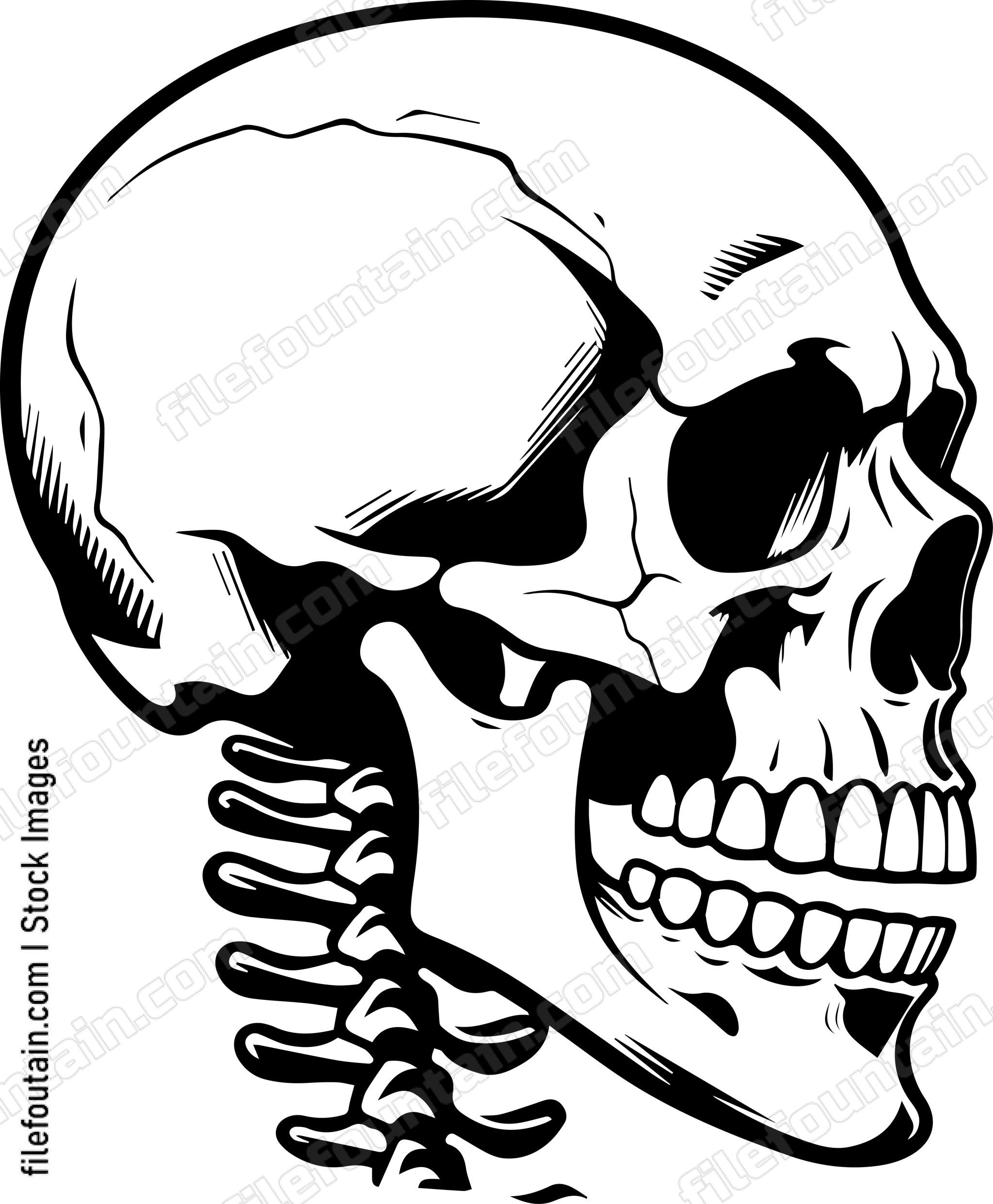 Skeleton Skull