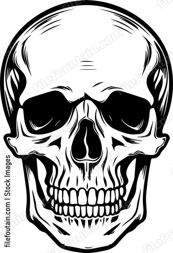 Skull