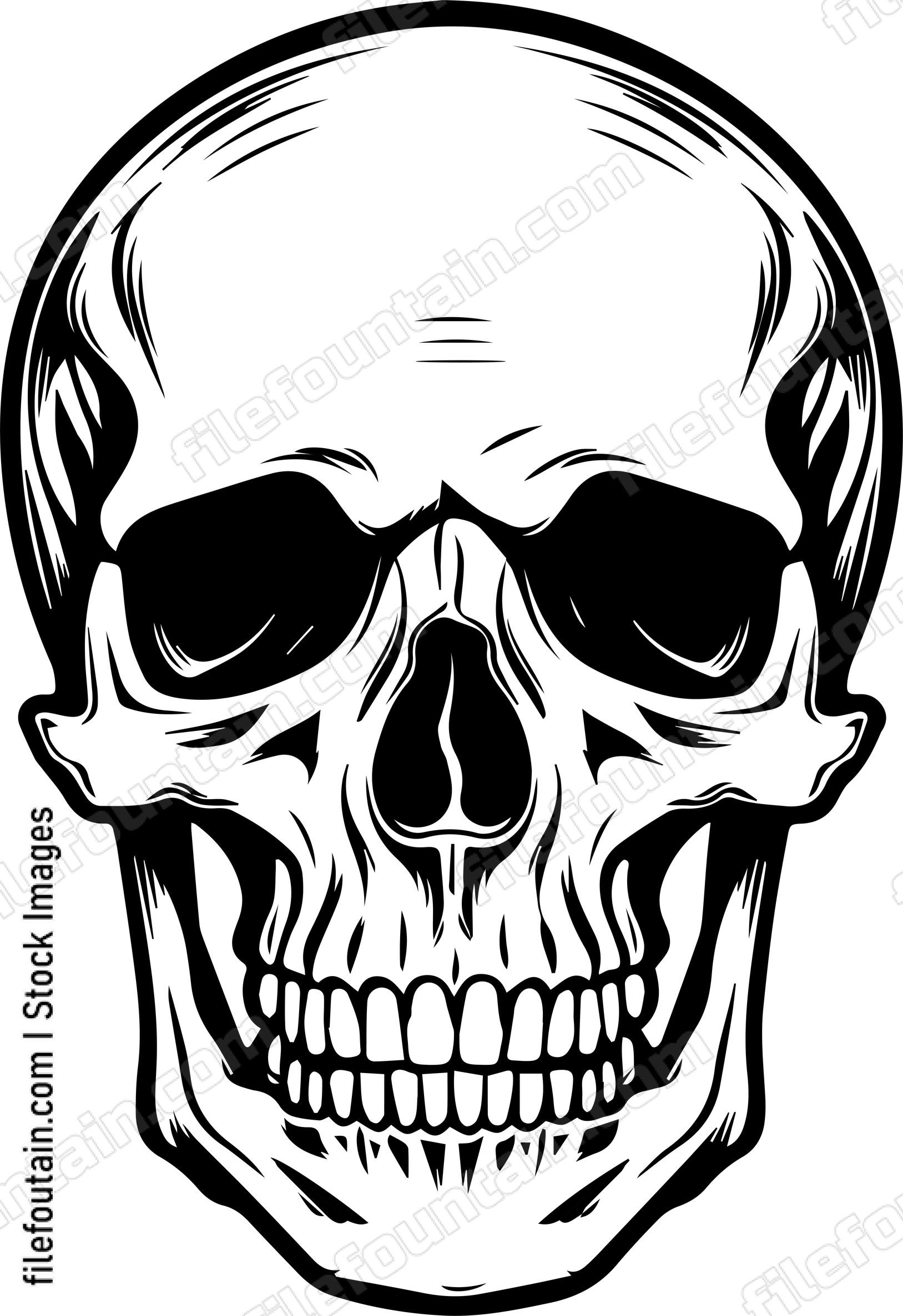 Skull