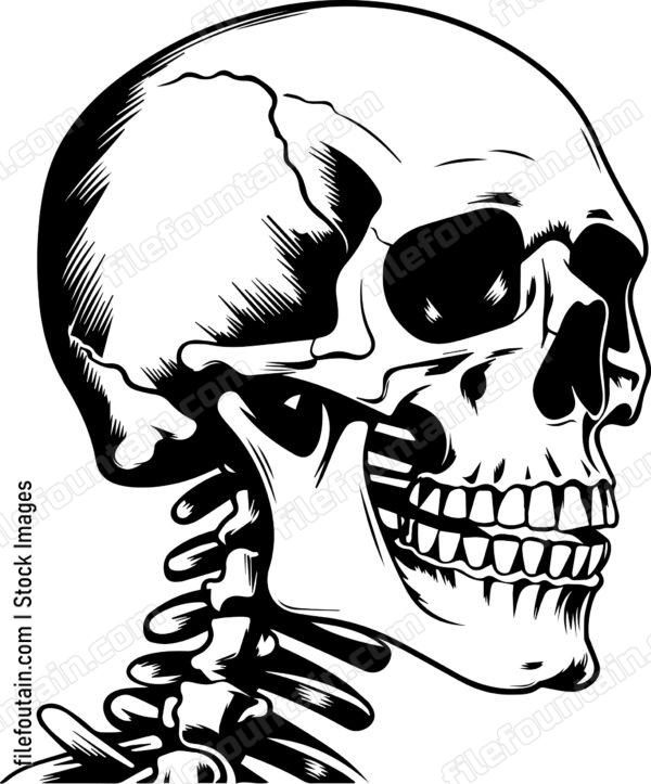 Skull