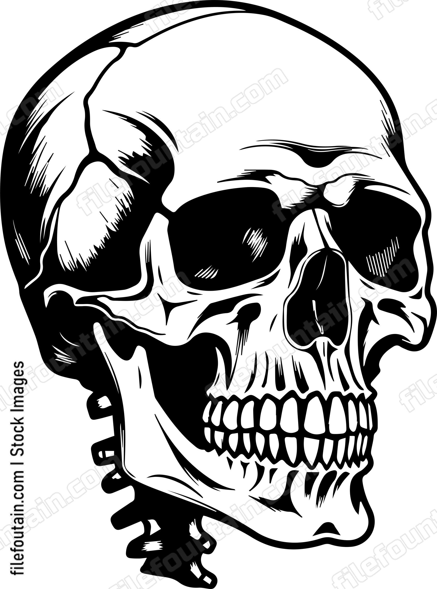 Skull