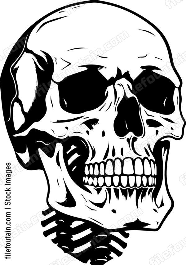 Skull