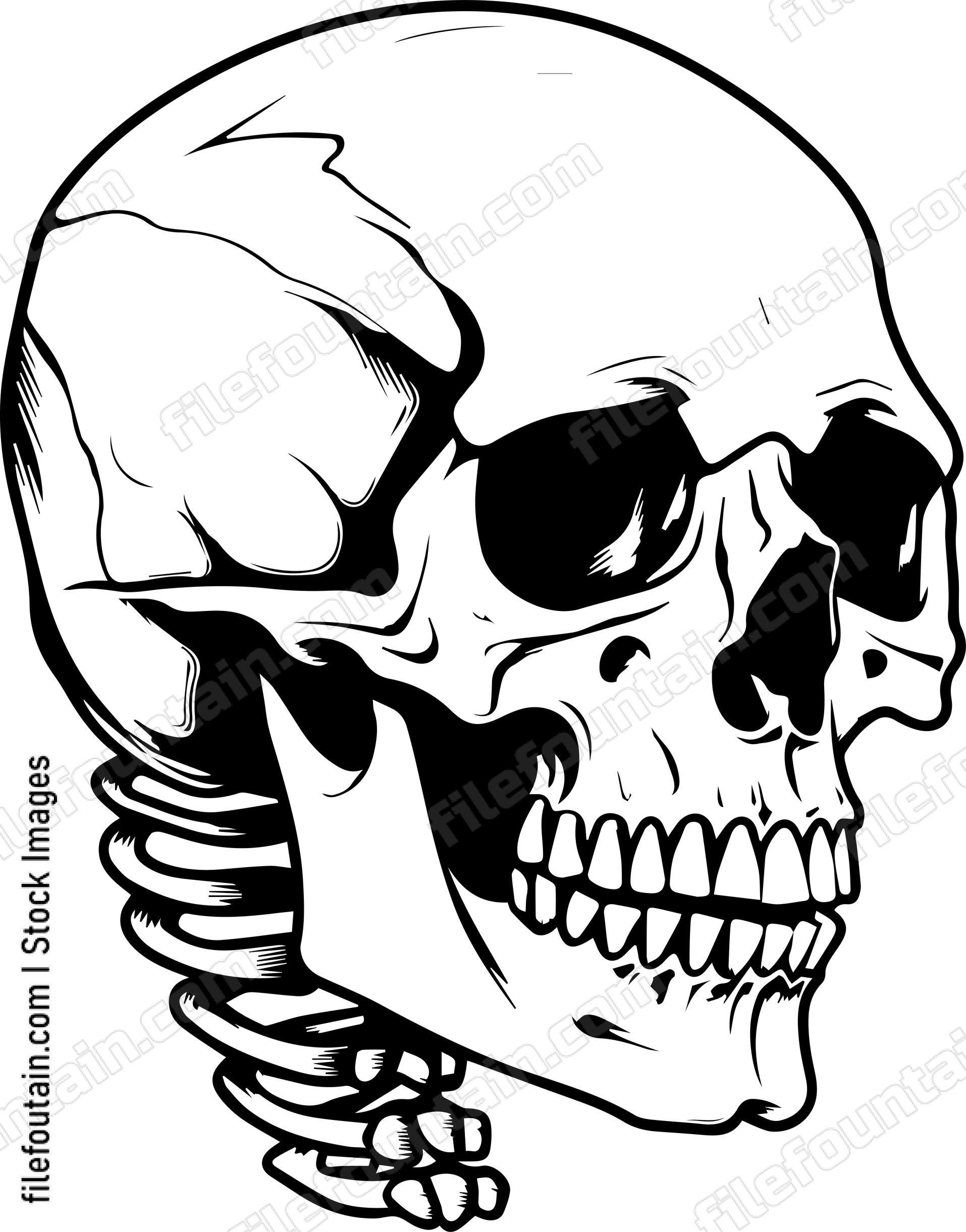 Skull