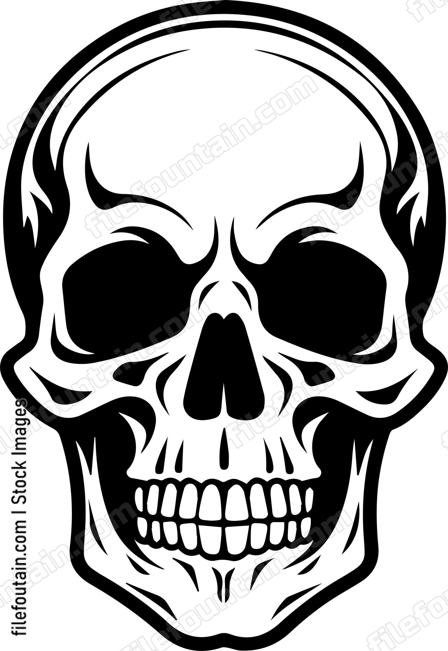 Skull Front Facing