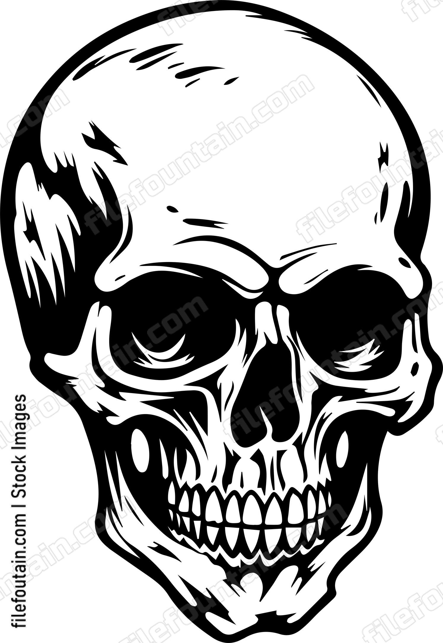 Skull Front Facing