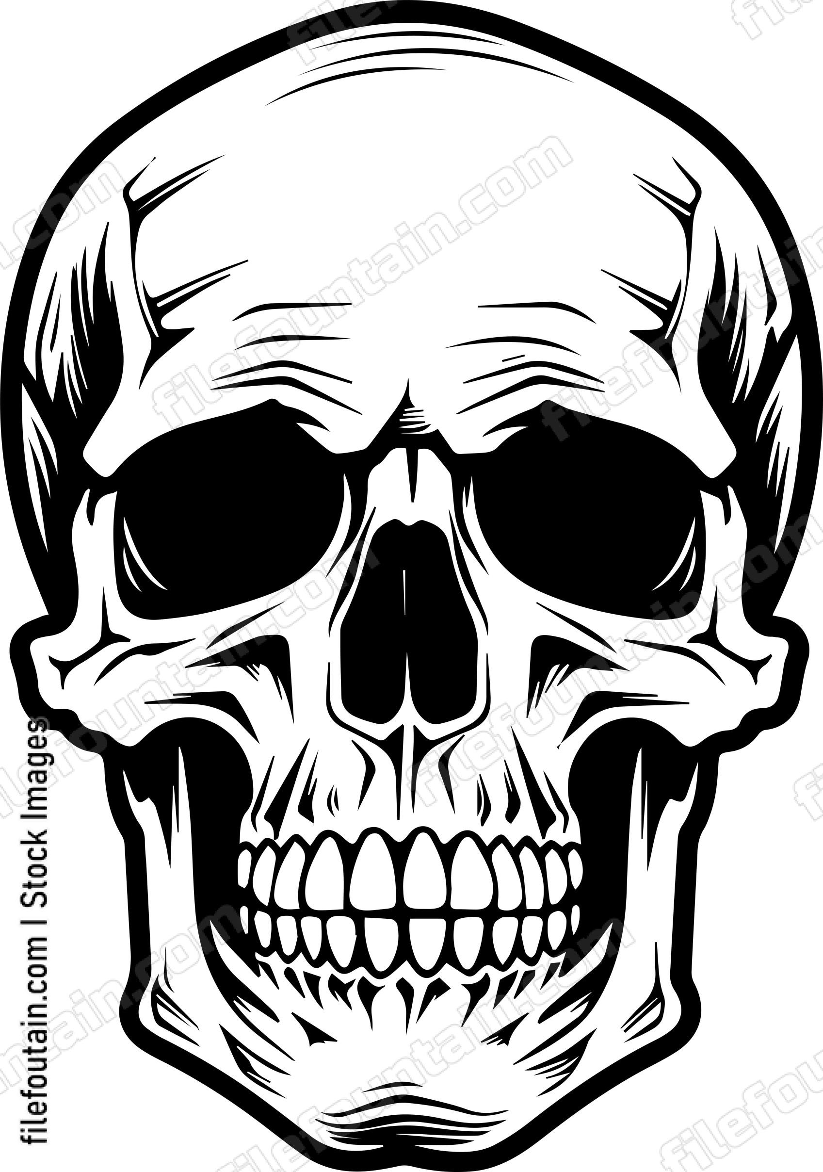 Skull Front Facing