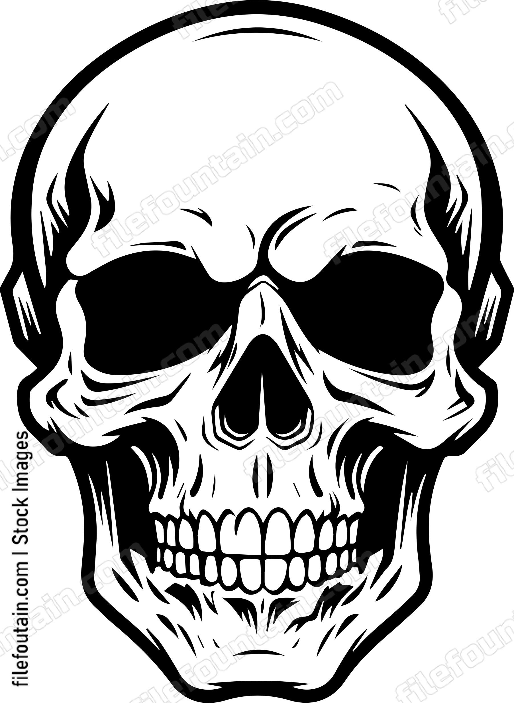 Skull Front Facing