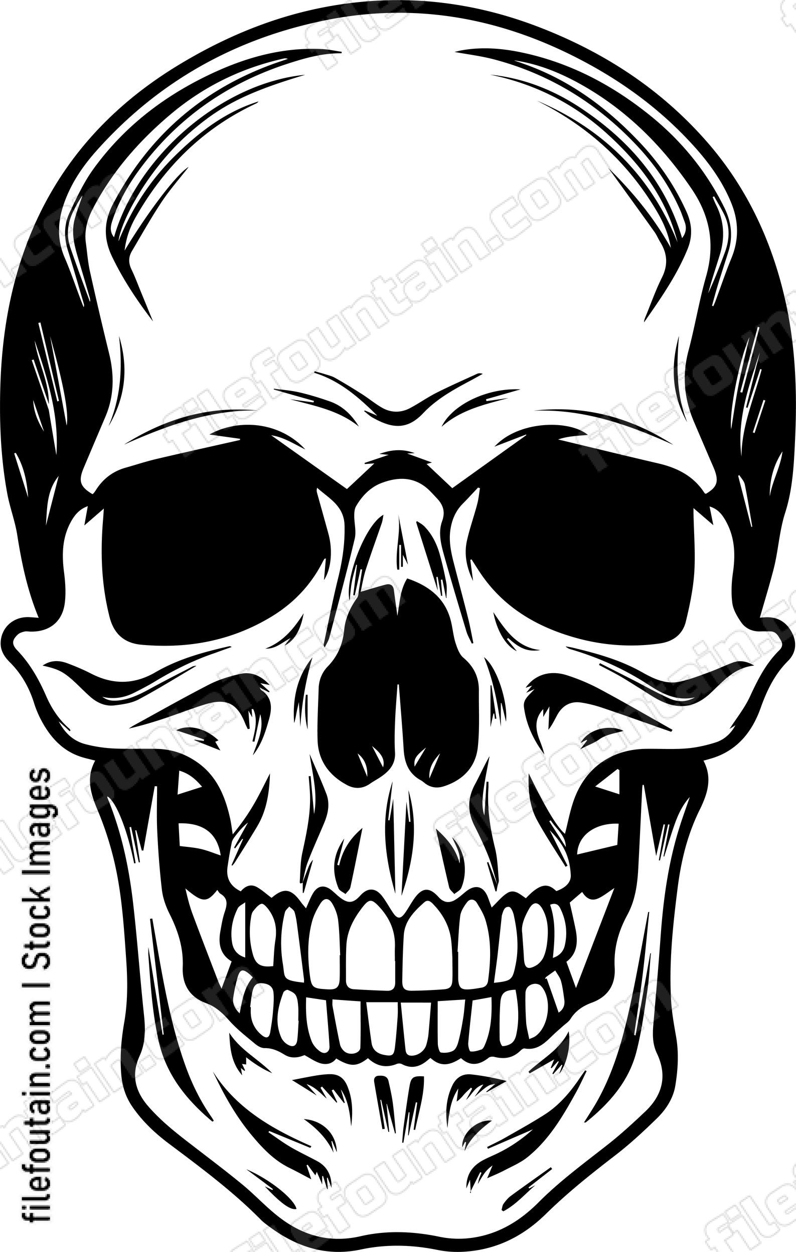 Skull Front Facing