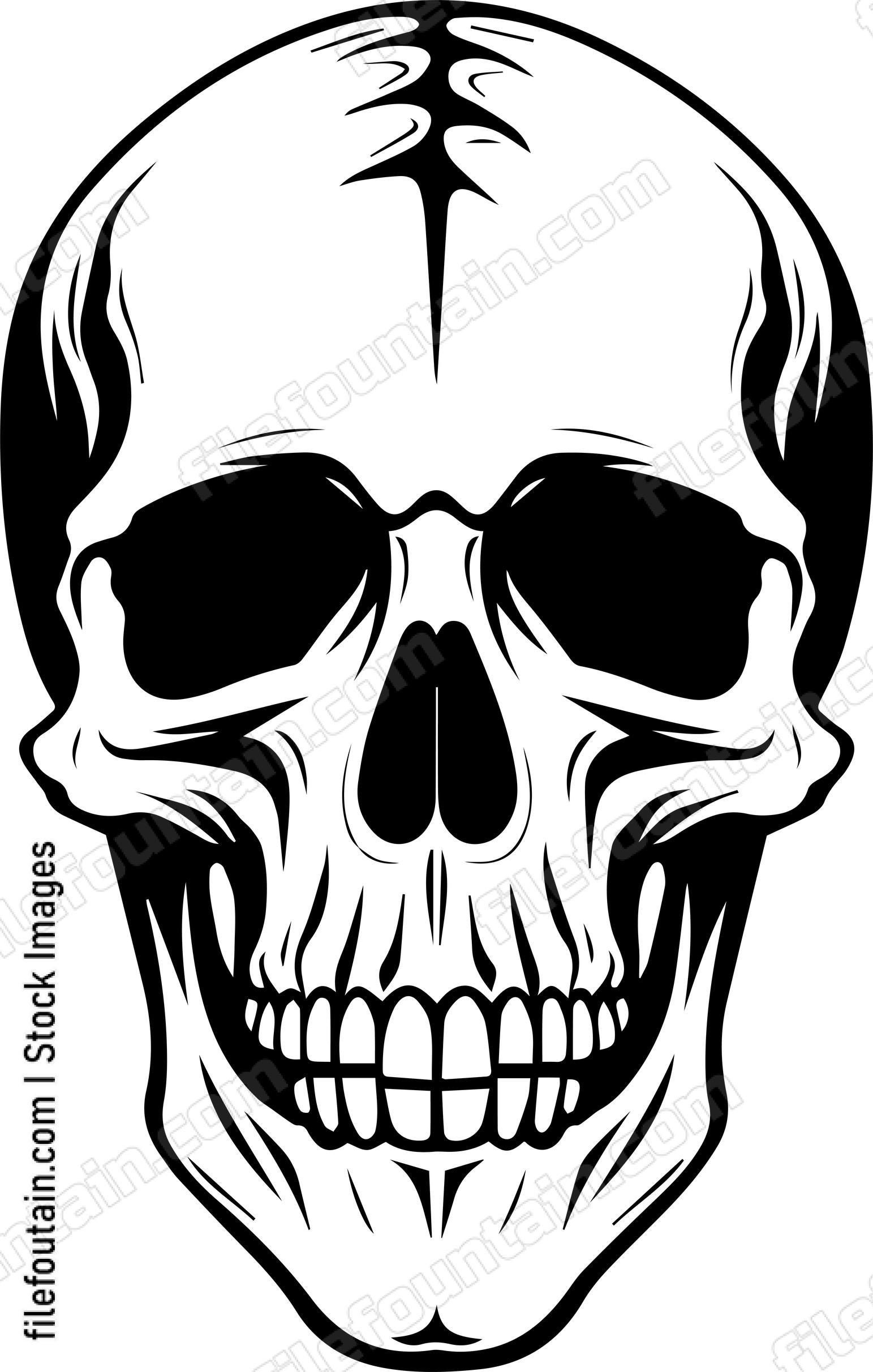 Skull Front Facing