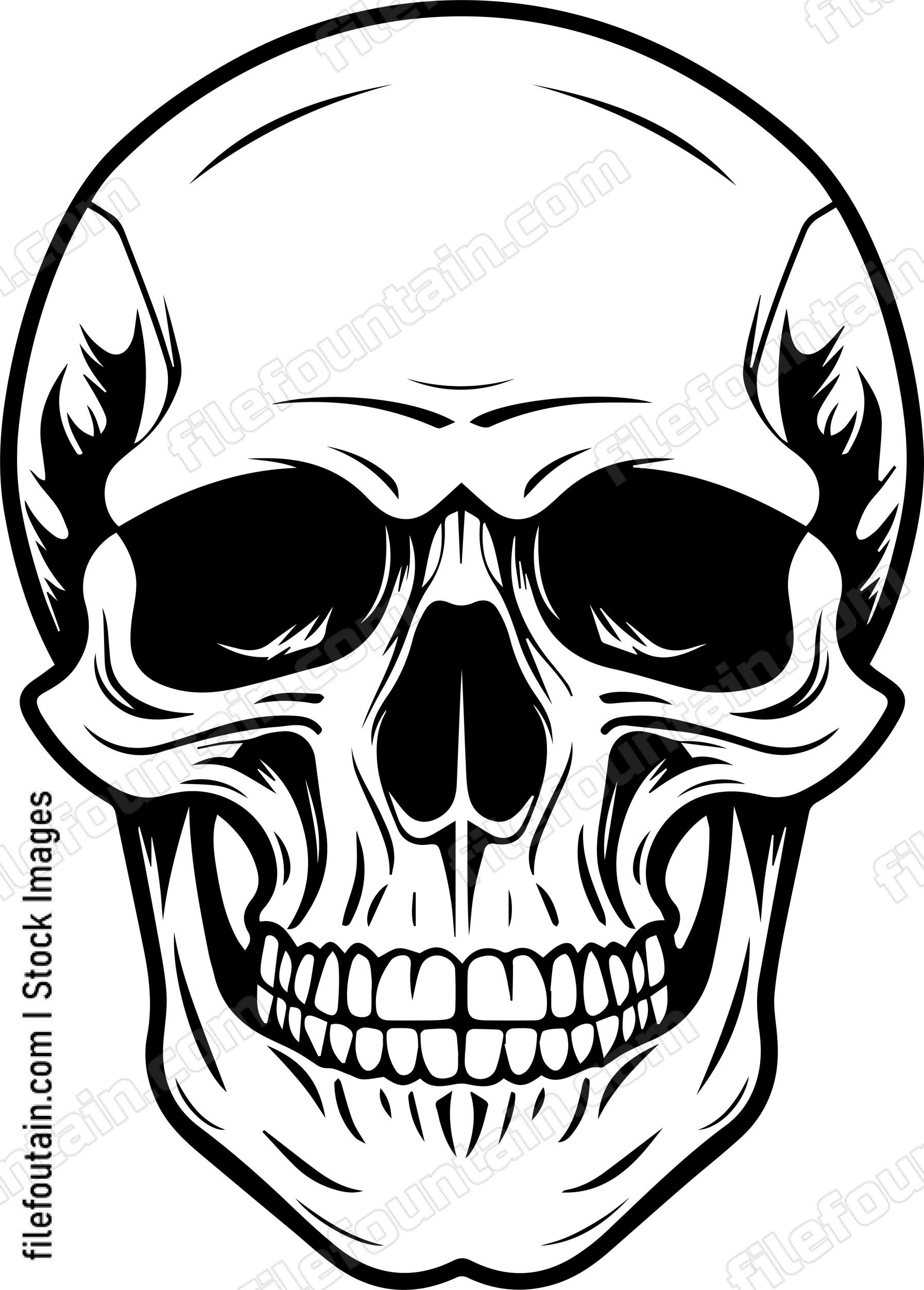 Skull Front Facing
