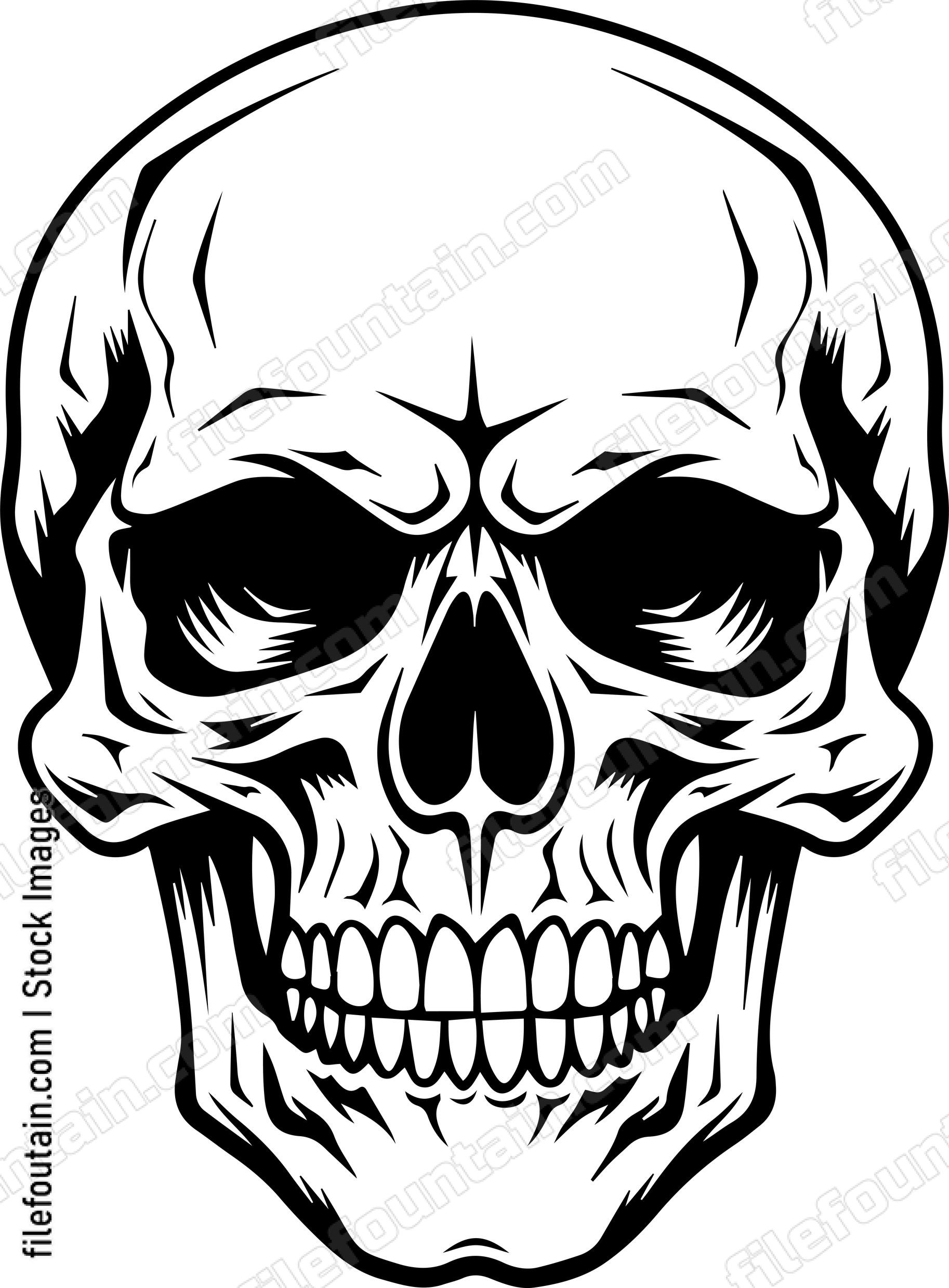 Skull Front Facing