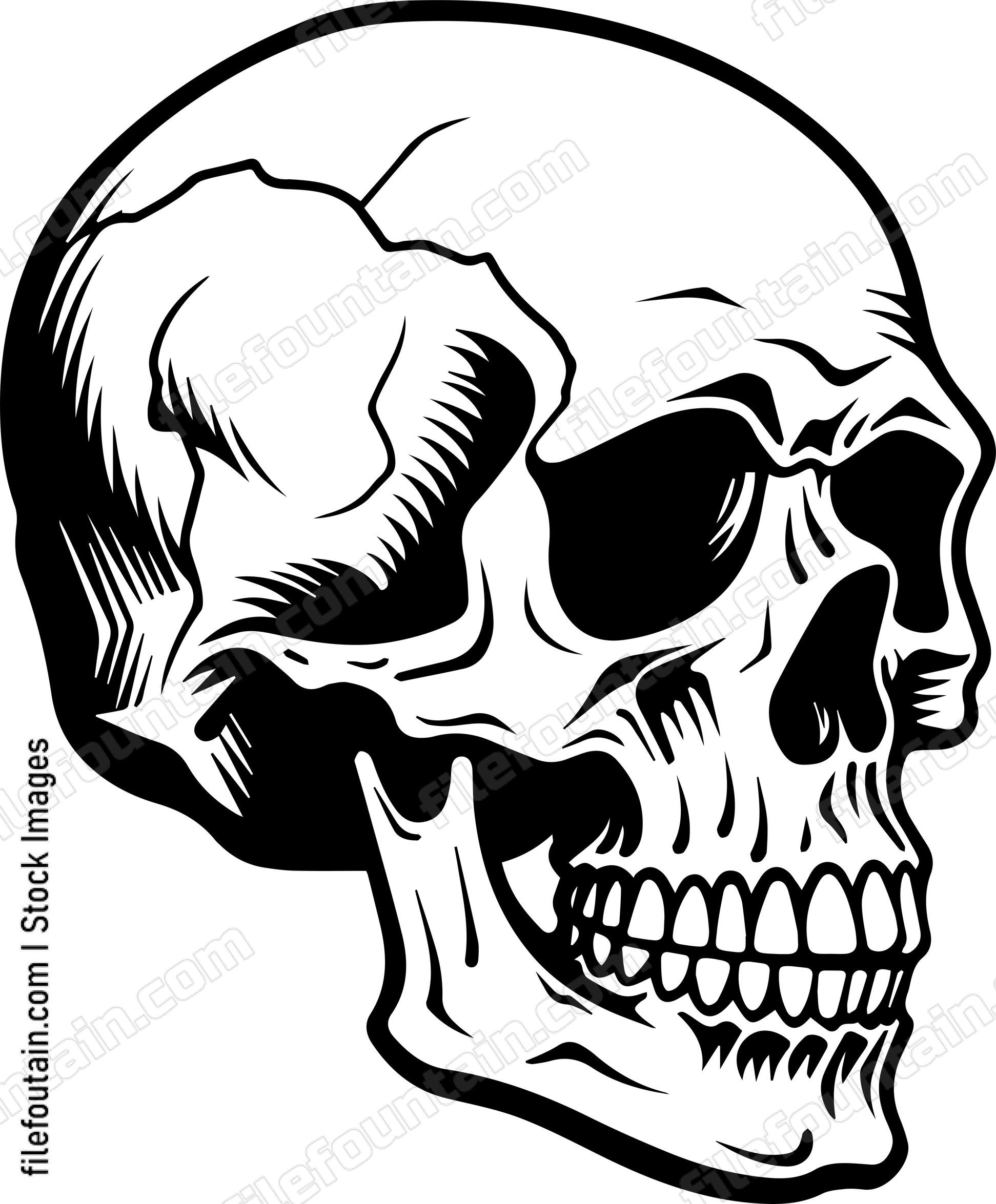 Skull Side View