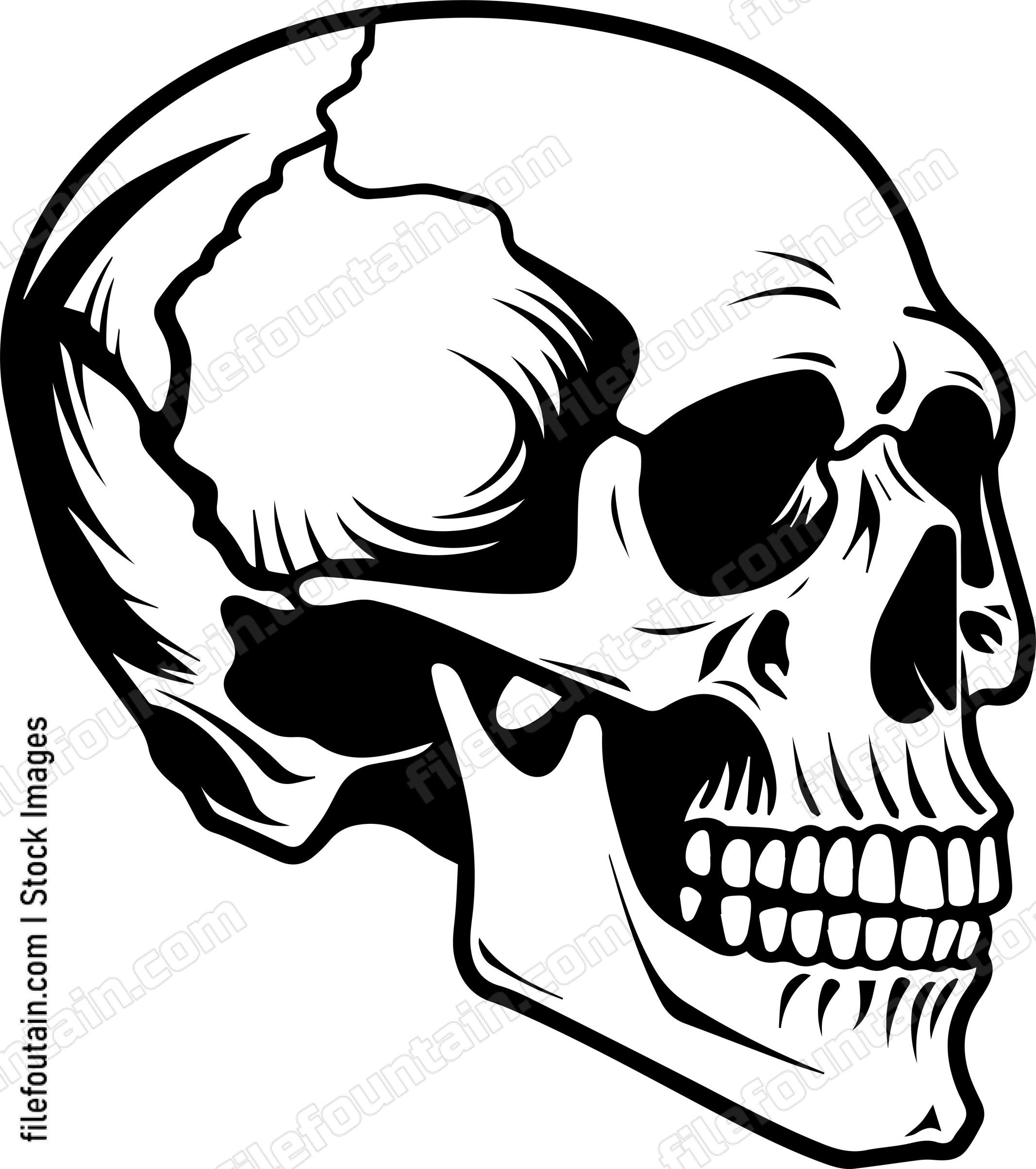 Skull Side View