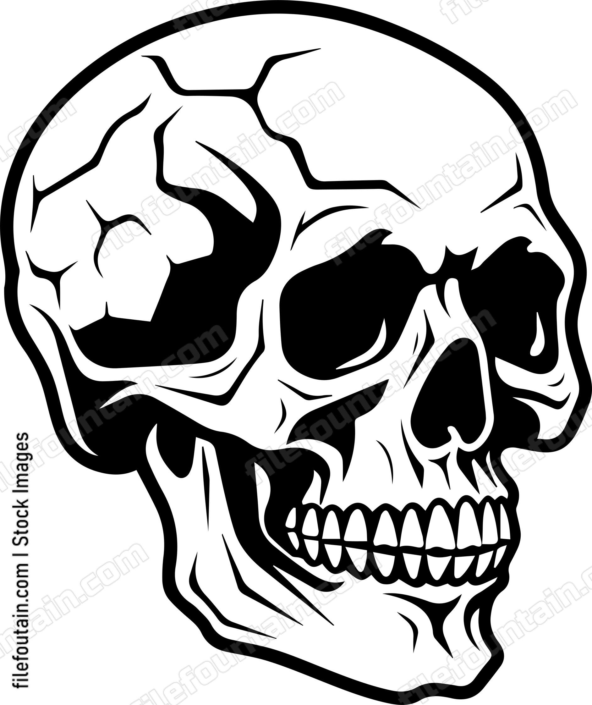 Skull Side View