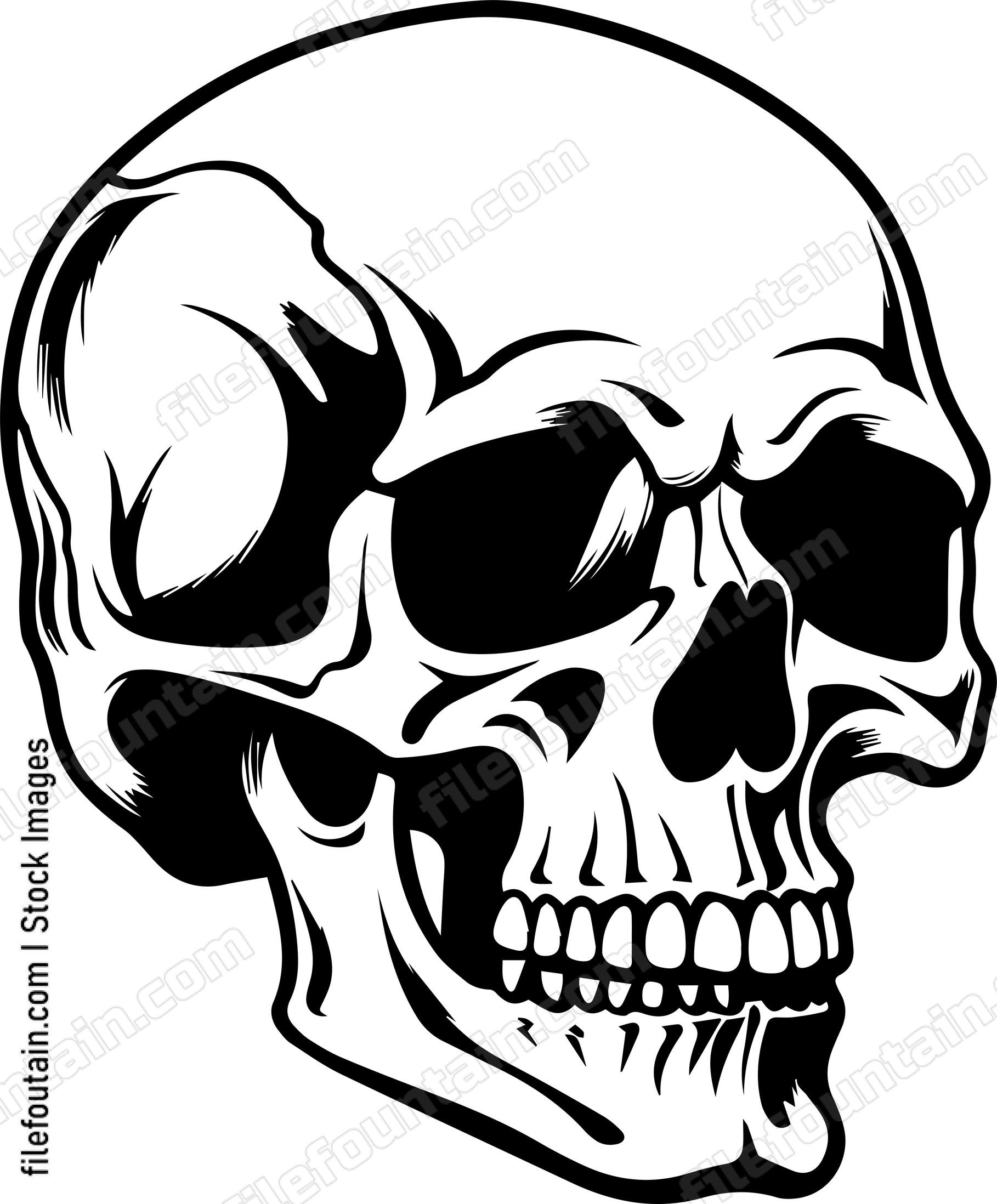 Skull Side View