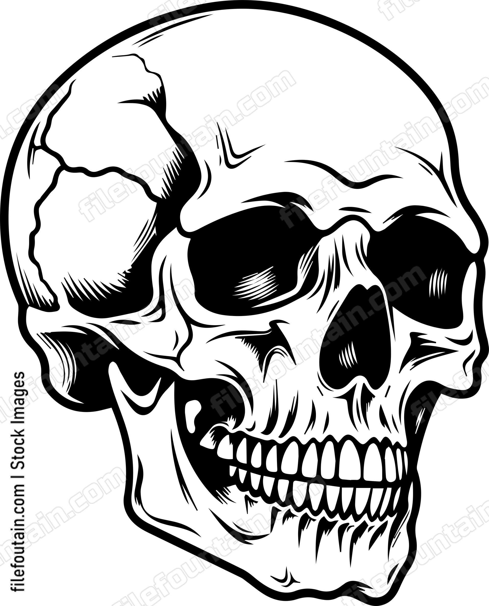 Skull Side View