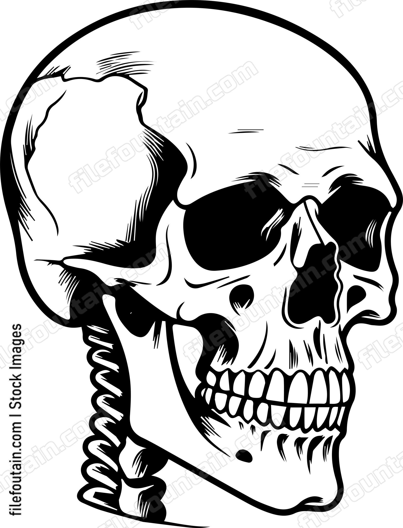 Skull Side View