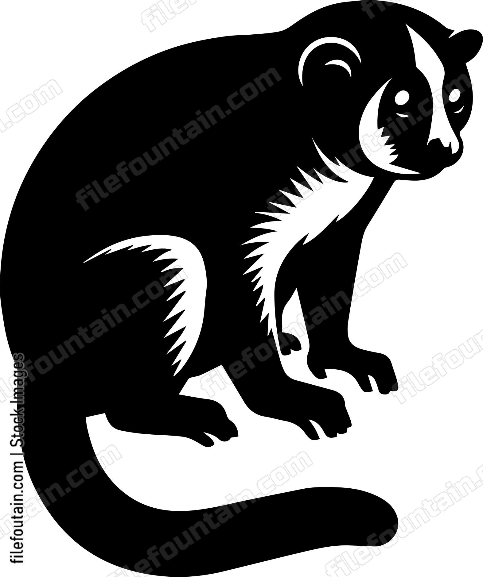 Slow Loris