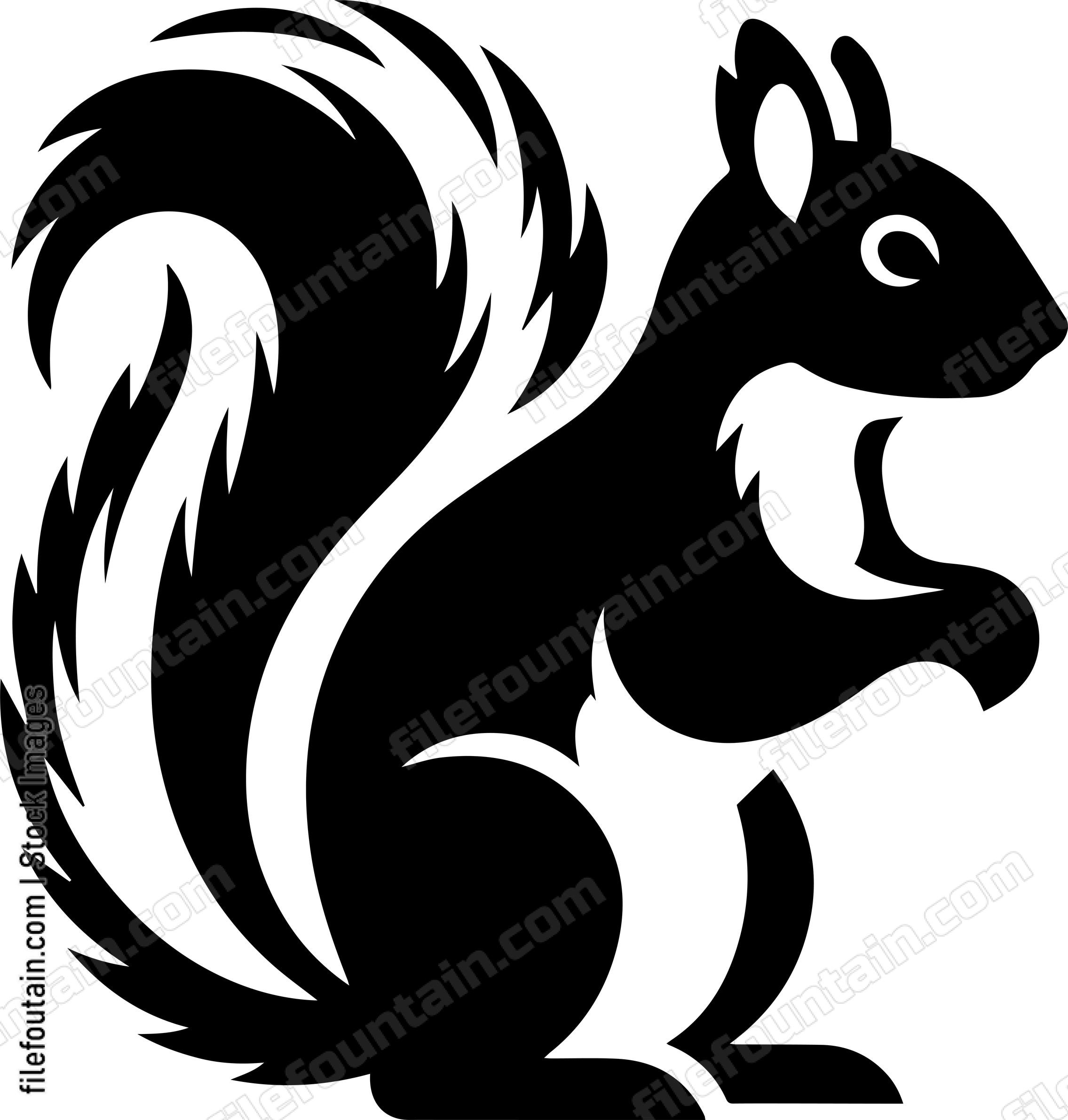 Squirrel