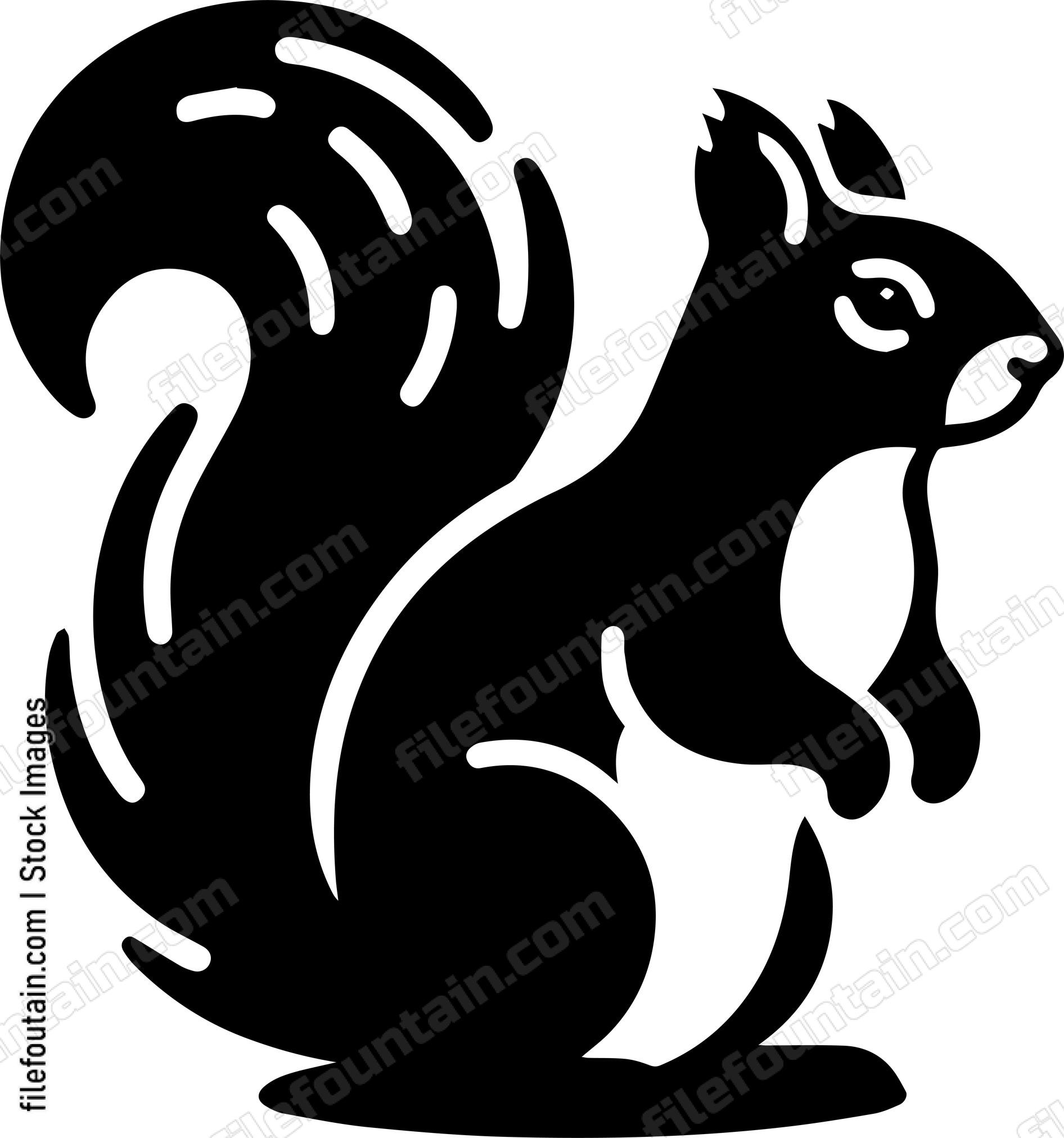 Squirrel