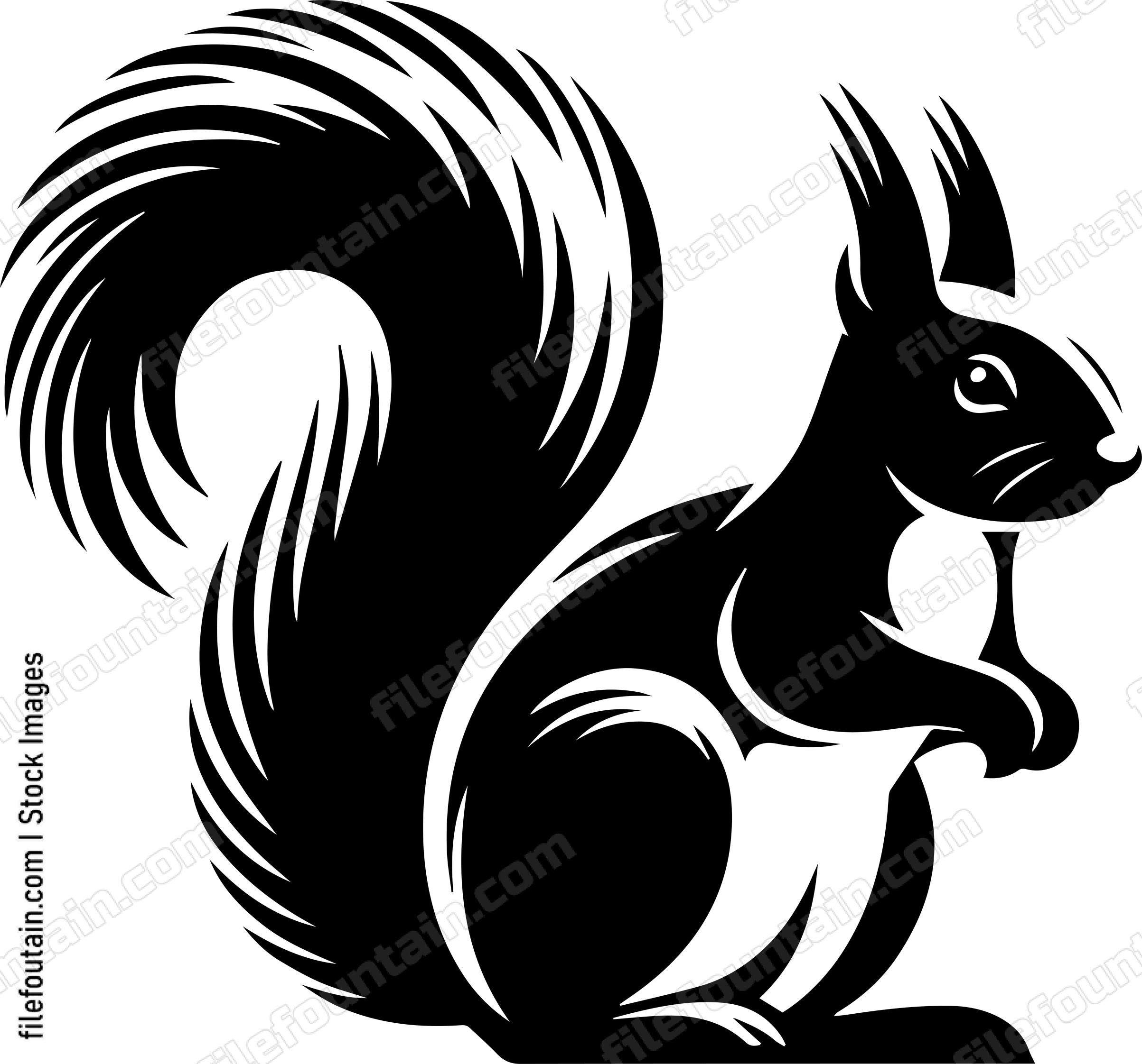 Squirrel
