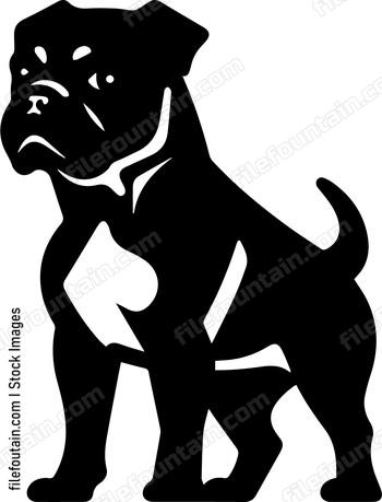 Staffordshire Bull Terrier
