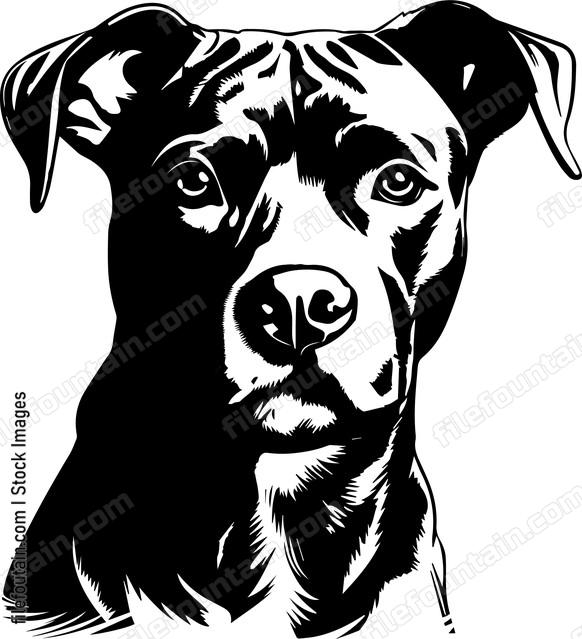 Staffordshire Bull Terrier
