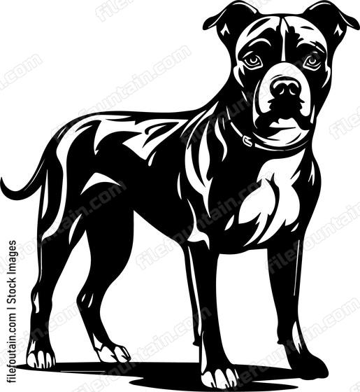 Staffordshire Bull Terrier