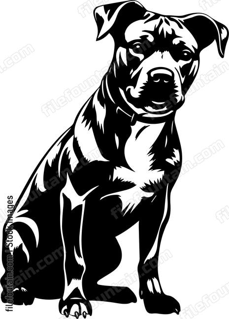 Staffordshire Bull Terrier