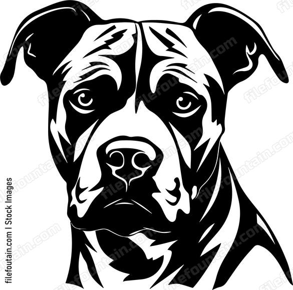 Staffordshire Bull Terrier