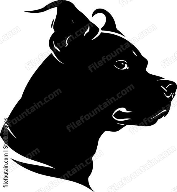 Staffordshire Bull Terrier