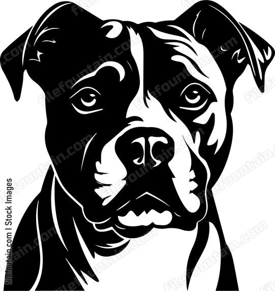Staffordshire Bull Terrier