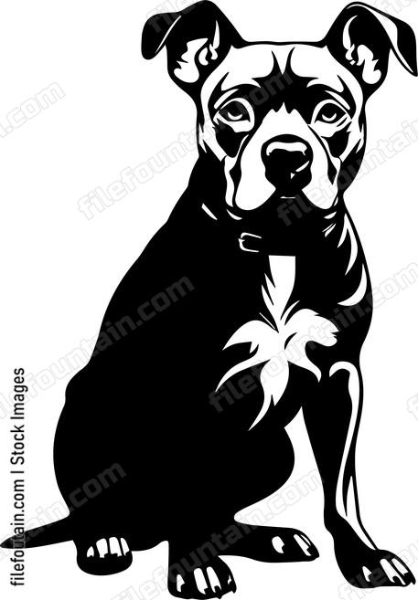 Staffordshire Bull Terrier