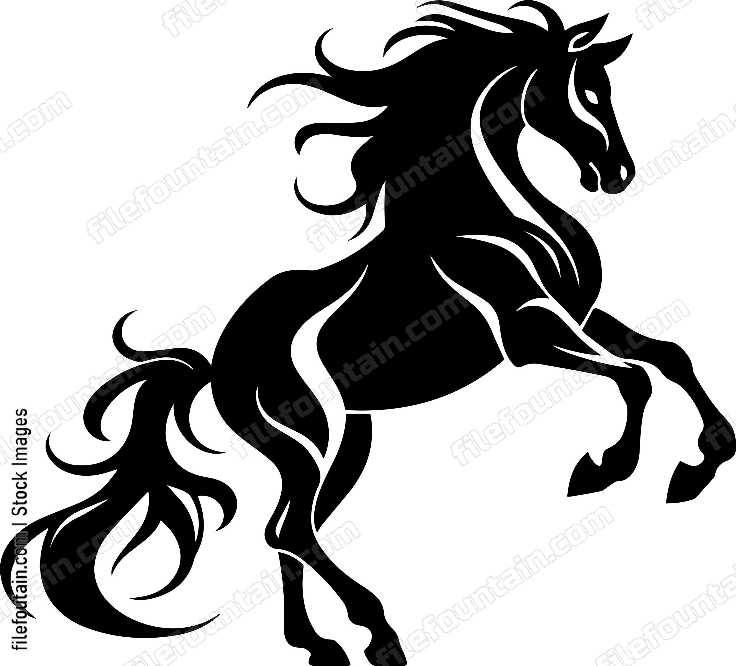 stallion