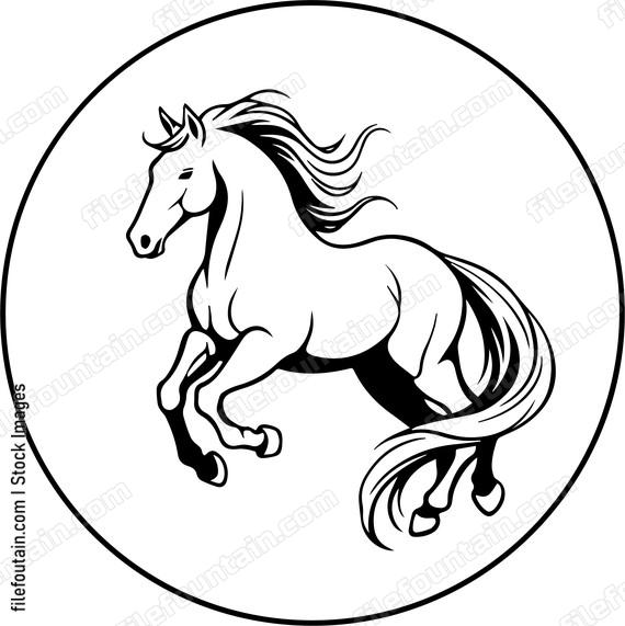 stallion