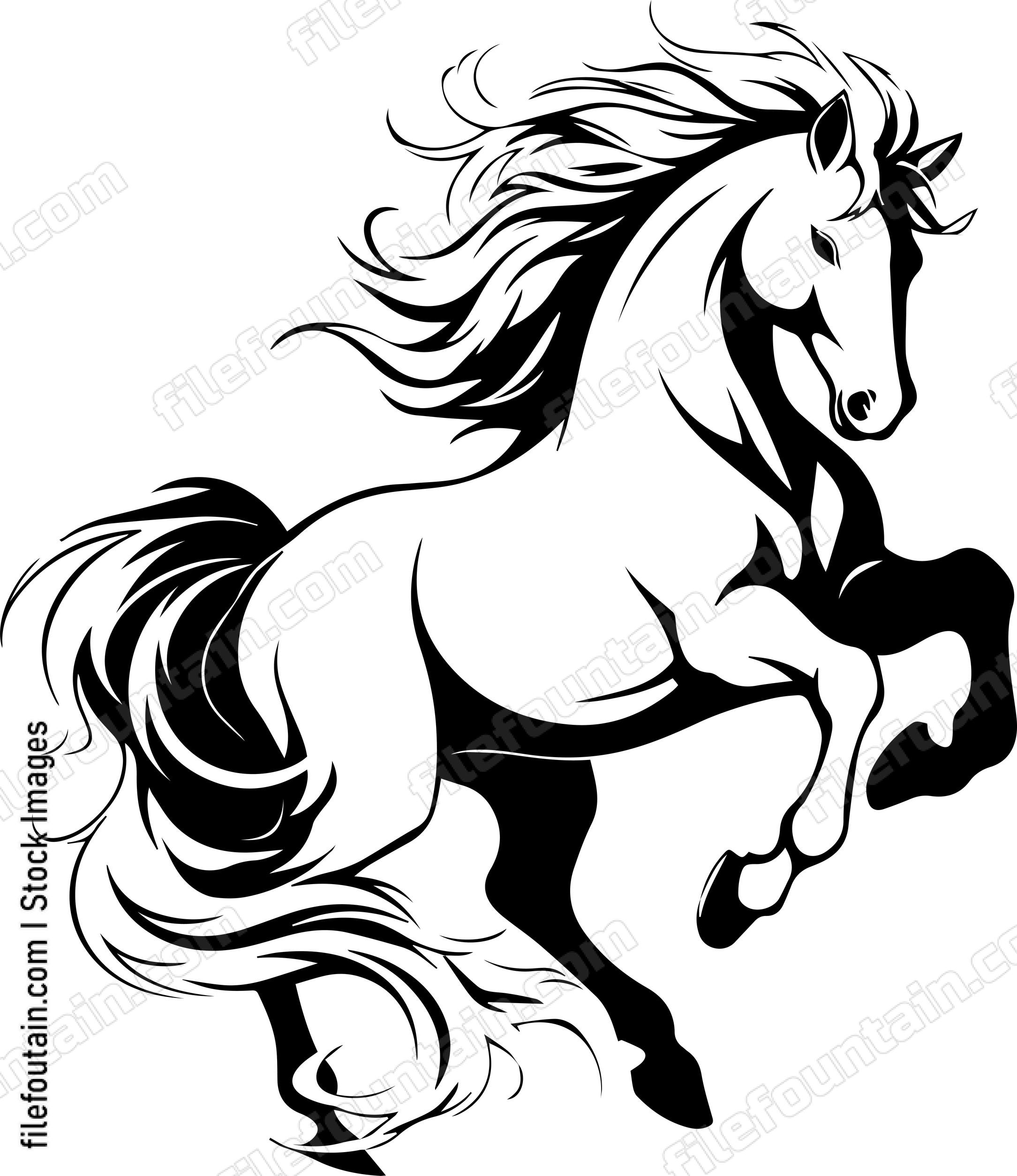 stallion