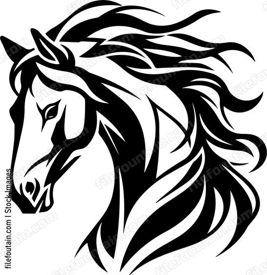 stallion