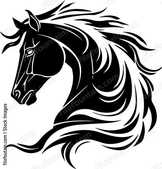 stallion