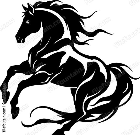 stallion