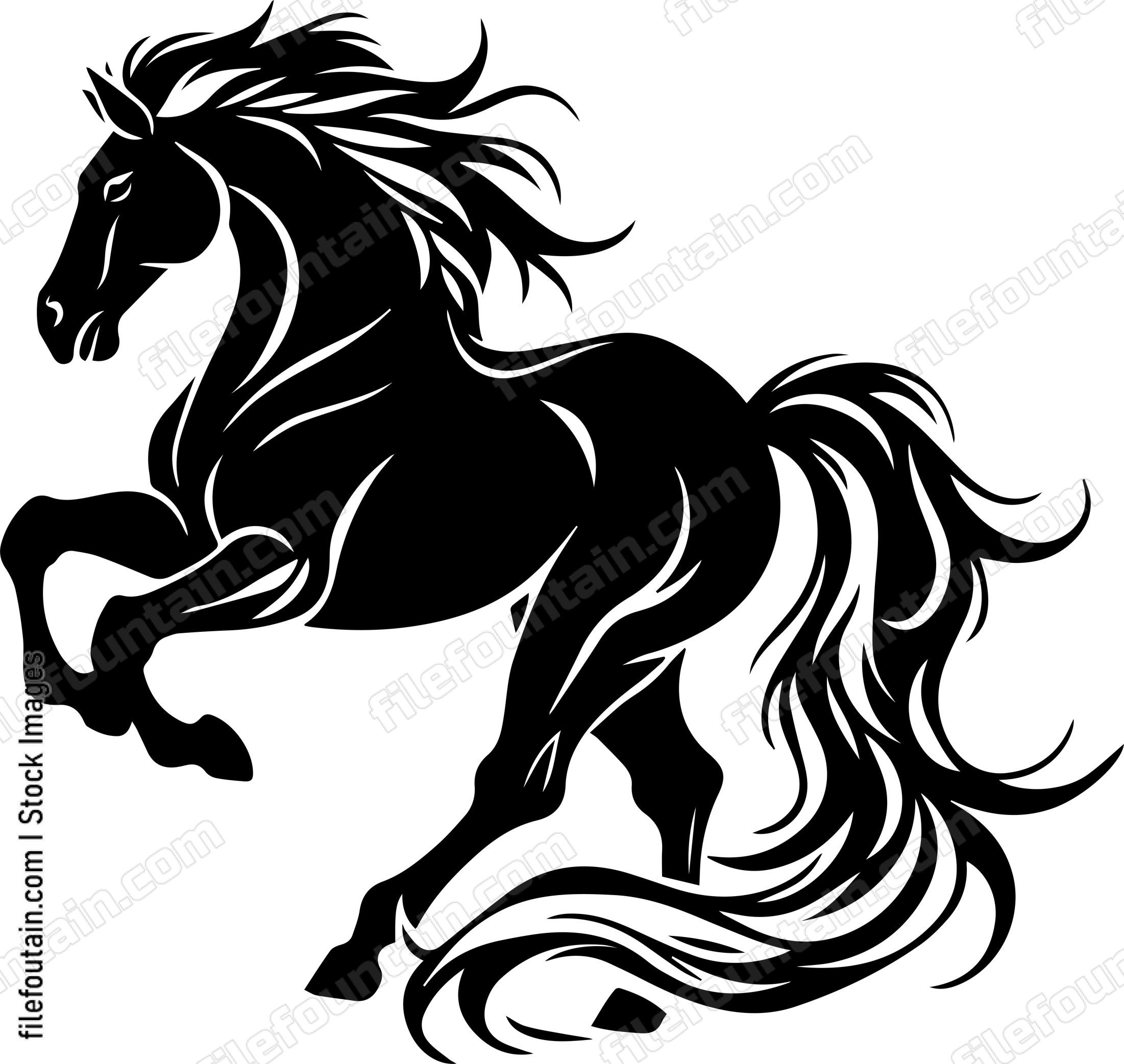 stallion