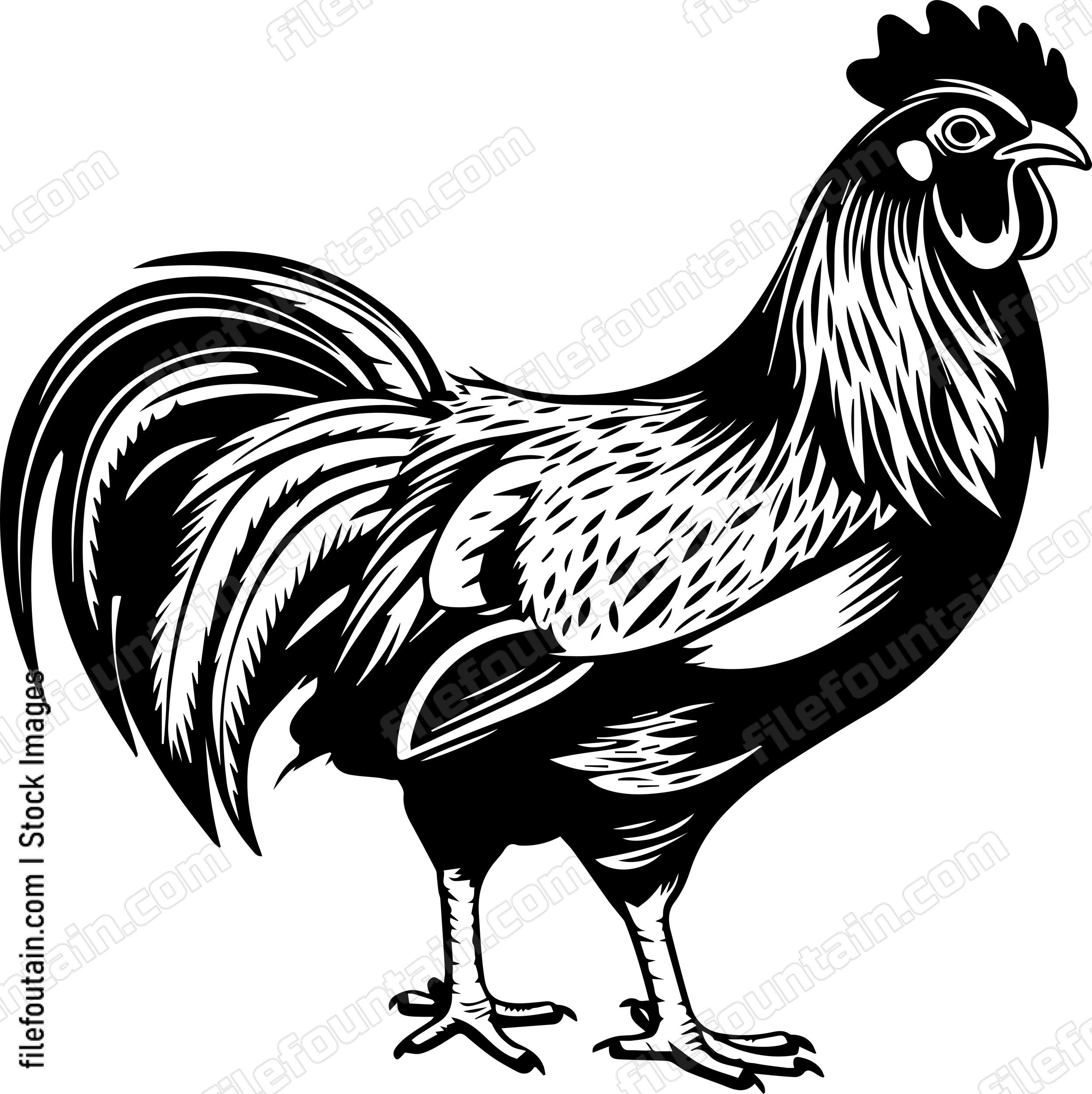 Standing Rooster