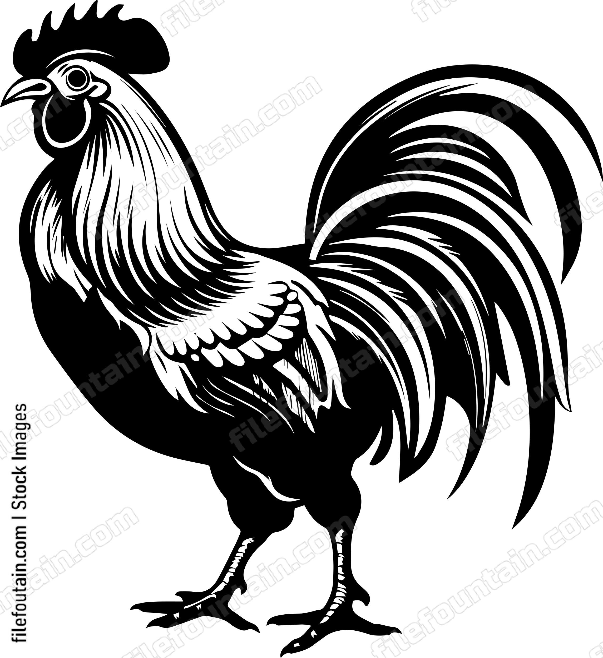 Standing Rooster