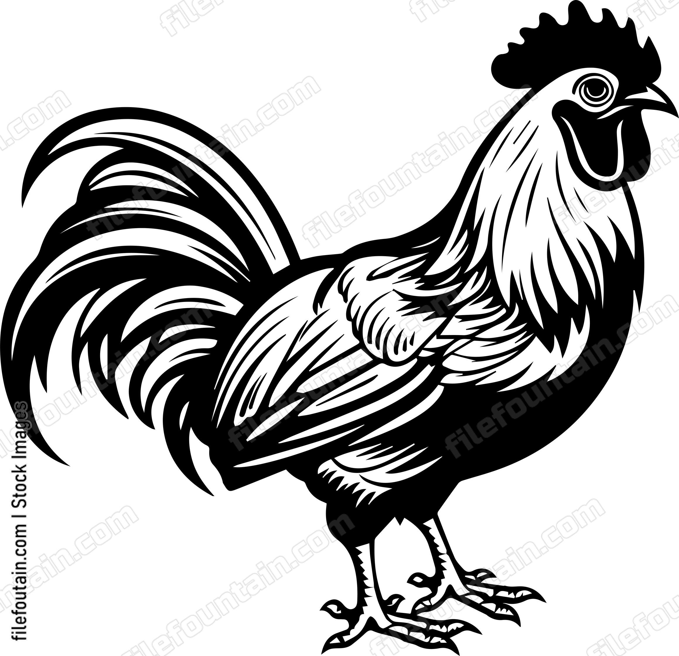 Standing Rooster