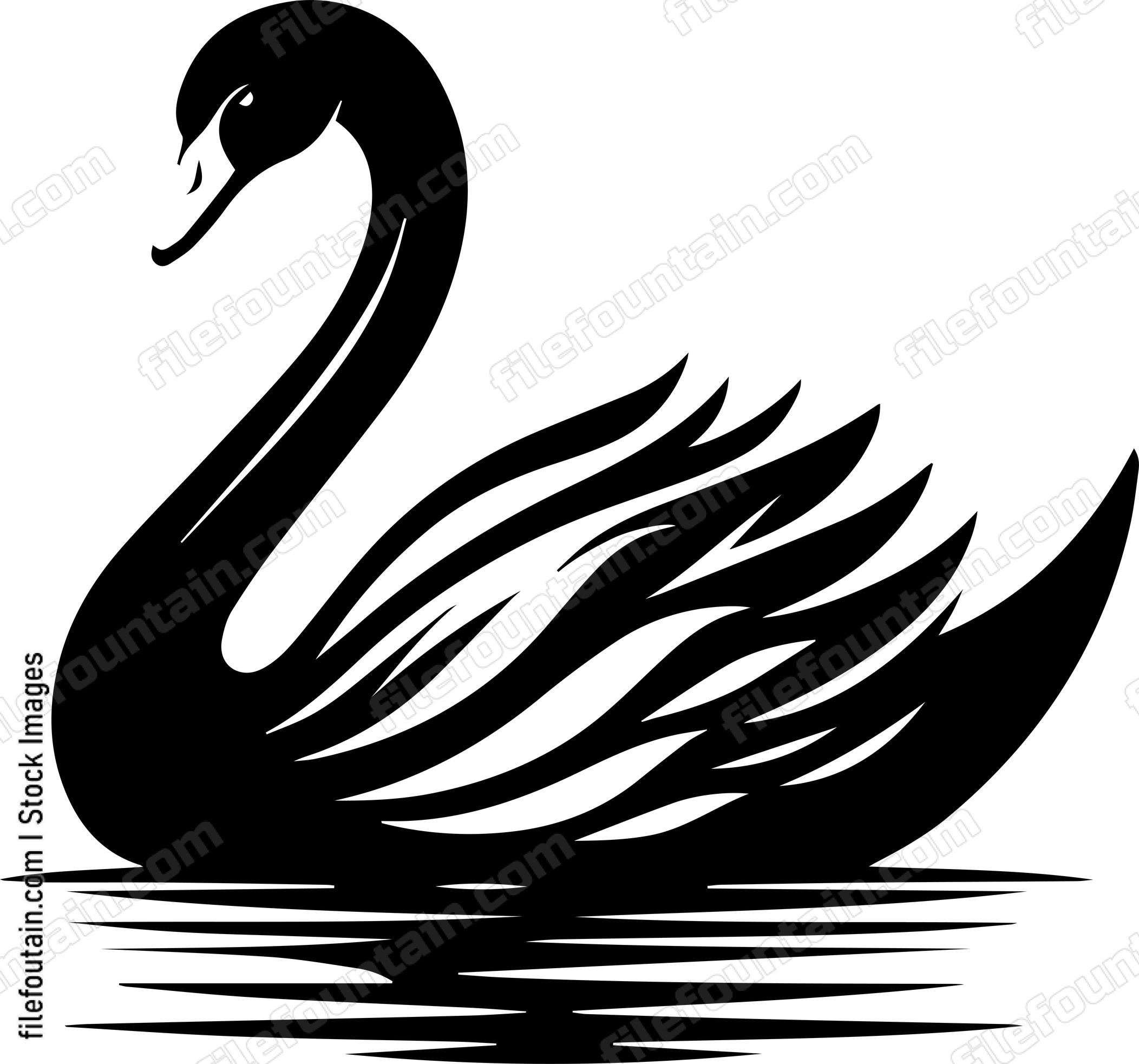 Swan